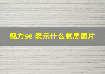 视力se 表示什么意思图片